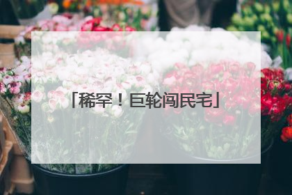 稀罕！巨轮闯民宅