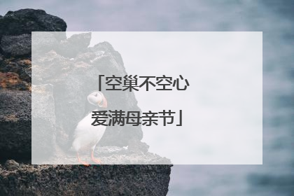 空巢不空心 爱满母亲节