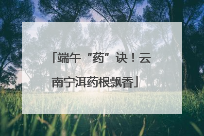 端午“药”诀！云南宁洱药根飘香