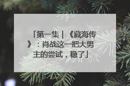 第一集｜《藏海传》：肖战这一把大男主的尝试，稳了