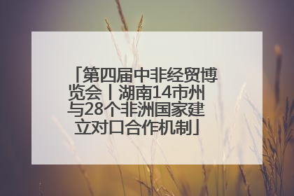 第四届中非经贸博览会丨湖南14市州与28个非洲国家建立对口合作机制