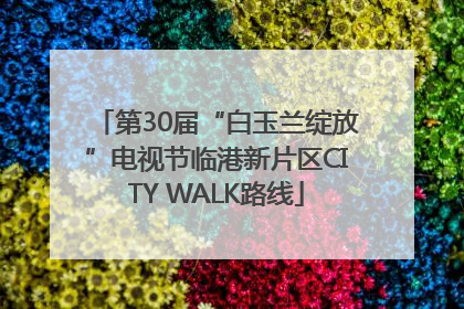 第30届“白玉兰绽放”电视节临港新片区CITY WALK路线