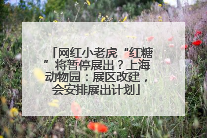 网红小老虎“红糖”将暂停展出？上海动物园：展区改建，会安排展出计划