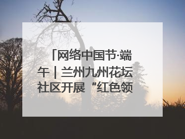 网络中国节·端午｜兰州九州花坛社区开展“红色领航 粽香敬老”端午主题活动