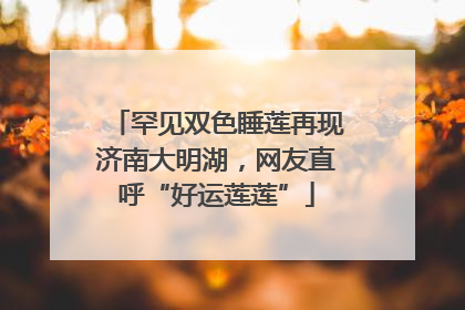 罕见双色睡莲再现济南大明湖，网友直呼“好运莲莲”
