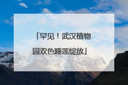 罕见！武汉植物园双色睡莲绽放