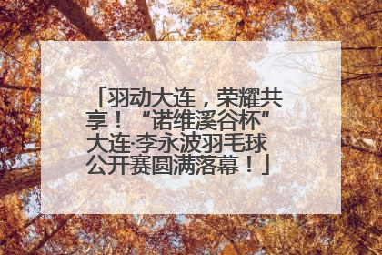 羽动大连，荣耀共享！“诺维溪谷杯”大连·李永波羽毛球公开赛圆满落幕！