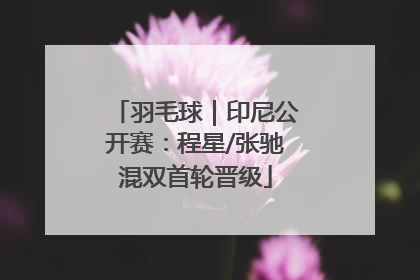 羽毛球｜印尼公开赛：程星/张驰混双首轮晋级