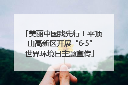 美丽中国我先行！平顶山高新区开展“6·5”世界环境日主题宣传