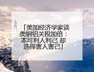 美加经济学家谈美钢铝关税加倍：本可利人利己 却选择害人害己