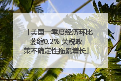 美国一季度经济环比萎缩0.2% 关税政策不确定性拖累增长