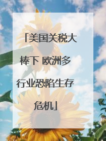 美国关税大棒下 欧洲多行业恐陷生存危机