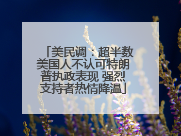 美民调：超半数美国人不认可特朗普执政表现 强烈支持者热情降温
