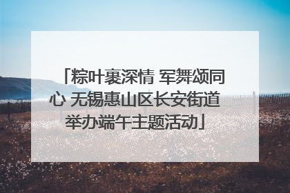 粽叶裹深情 军舞颂同心 无锡惠山区长安街道举办端午主题活动