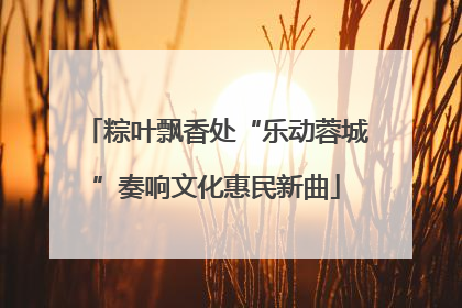 粽叶飘香处“乐动蓉城”奏响文化惠民新曲