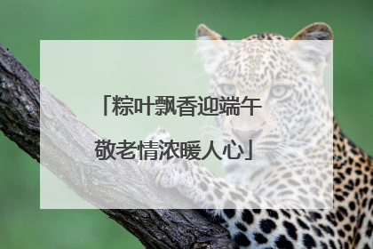 粽叶飘香迎端午 敬老情浓暖人心