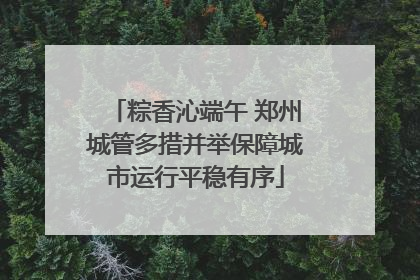 粽香沁端午 郑州城管多措并举保障城市运行平稳有序