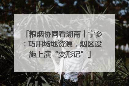 粮烟协同看湖南丨宁乡：巧用场地资源，烟区设施上演“变形记”
