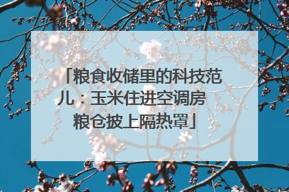 粮食收储里的科技范儿：玉米住进空调房 粮仓披上隔热罩