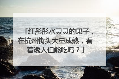 红彤彤水灵灵的果子，在杭州街头大量成熟，看着诱人但能吃吗？