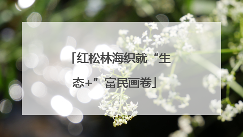 红松林海织就“生态+”富民画卷