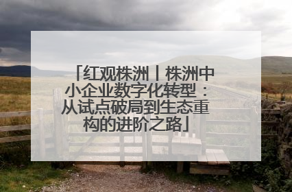 红观株洲丨株洲中小企业数字化转型：从试点破局到生态重构的进阶之路