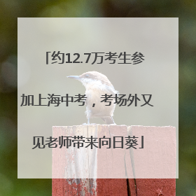 约12.7万考生参加上海中考，考场外又见老师带来向日葵