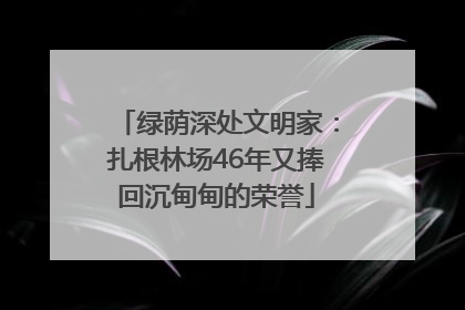 绿荫深处文明家：扎根林场46年又捧回沉甸甸的荣誉