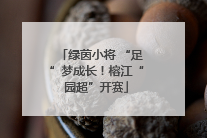 绿茵小将 “足”梦成长！榕江“园超”开赛