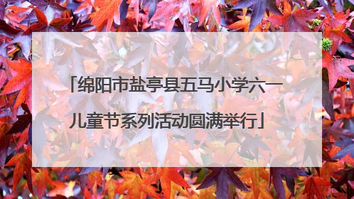 绵阳市盐亭县五马小学六一儿童节系列活动圆满举行