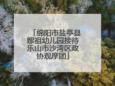 绵阳市盐亭县嫘祖幼儿园接待乐山市沙湾区政协观摩团
