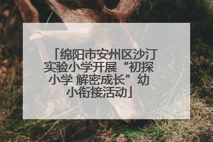绵阳市安州区沙汀实验小学开展“初探小学 解密成长”幼小衔接活动