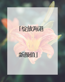 绽放海港新颜值