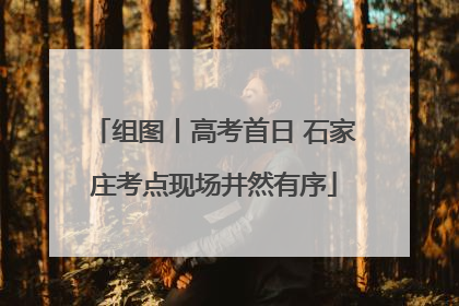 组图丨高考首日 石家庄考点现场井然有序
