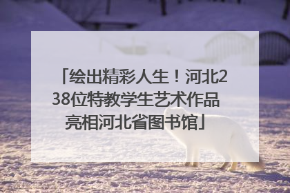 绘出精彩人生！河北238位特教学生艺术作品亮相河北省图书馆