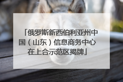 俄罗斯新西伯利亚州中国（山东）信息商务中心在上合示范区揭牌