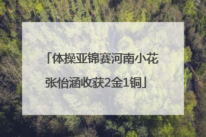 体操亚锦赛河南小花张怡涵收获2金1铜