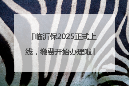 临沂保2025正式上线，缴费开始办理啦