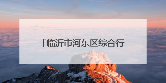 临沂市河东区综合行政执法局精修“民生路”，畅通“幸福线”
