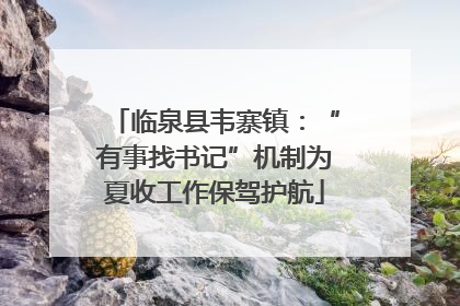 临泉县韦寨镇：“有事找书记”机制为夏收工作保驾护航