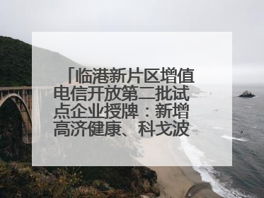 临港新片区增值电信开放第二批试点企业授牌：新增高济健康、科戈波特两家