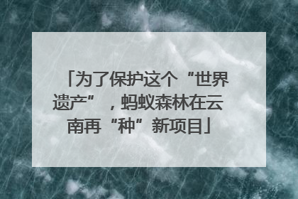为了保护这个“世界遗产”，蚂蚁森林在云南再“种”新项目