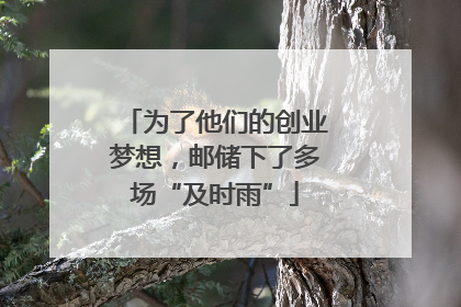 为了他们的创业梦想，邮储下了多场“及时雨”
