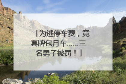 为逃停车费，竟套牌包月车……三名男子被罚！