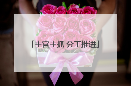 主官主抓 分工推进