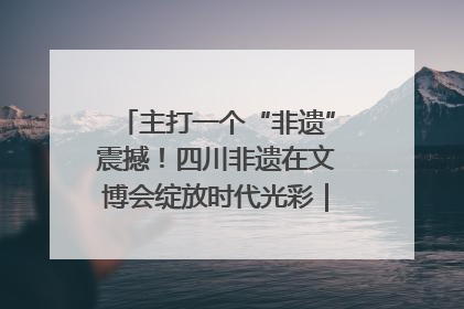 主打一个“非遗”震撼！四川非遗在文博会绽放时代光彩｜文博向“新”
