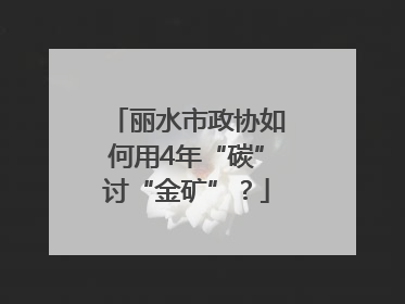 丽水市政协如何用4年“碳”讨“金矿”？