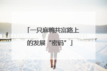 一只麻鸭共富路上的发展“密码”