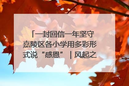 一封回信一年坚守 嘉陵区各小学用多彩形式说“感恩”｜风起之江 扶摇直上