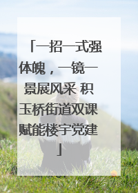 一招一式强体魄，一镜一景展风采 积玉桥街道双课赋能楼宇党建